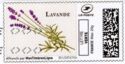 Lavender Lavande