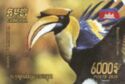 Hornbill (Buceros bicornis)