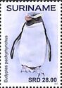 Fiordland Penguin (Eudyptes pachyrhynchus)
