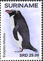 Snares Penguin (Eudyptes robustus)