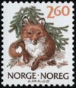 Red Fox (Vulpes vulpes)