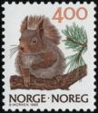 Eurasian Red Squirrel (Sciurus vulgaris)