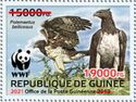 Martial Eagle (Polemaetus bellicosus) Red Overprint