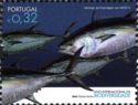 Atlantic Bluefin Tuna (Thunnus thynnus)