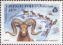 Tian Shan Argali (Ovis ammon karelini)