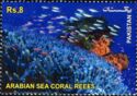 The Arabian Sea Coral Reefs