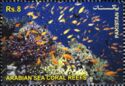 The Arabian Sea Coral Reefs