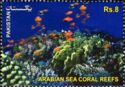 The Arabian Sea Coral Reefs