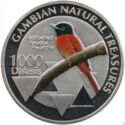 1,000 Dalasis (Gambian Natural Treasures - Red-bellied Paradise Flycatcher)