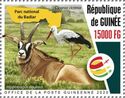 Roan Antelope and White Stork