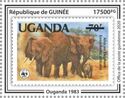 African Elephant (Loxodonta africana)