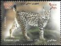 Eurasian Lynx