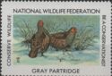 Gray Partridge