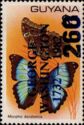 Morpho Deidamia - George Washington surcharged 260c