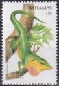Green Anole (Anolis smaragdinus)