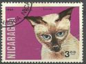 Siamese Cat (Felis silvestris catus)