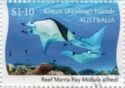 Three Reef Manta Rays (Mobula alfredi)