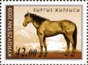 Yellow Dun (Equus ferus caballus)