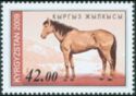 Yellow Dun (Equus ferus caballus)