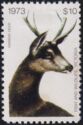 Sambar deer (Rusa unicolor)
