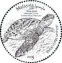 Hawksbill Turtle (Eretmochelys imbricata)
