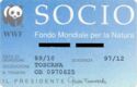 WWF - Socio