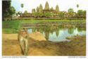 Angkor Wat - Temples