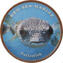 1 Shilling (Red sea marine - Pufferfish)