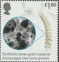 Synthetic Bone Graft