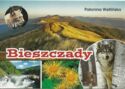 Bieszczady - Połonina Wetlińska