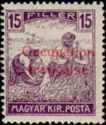 Overprinted Stamp of Hungary 1916-1917