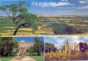 The Barossa