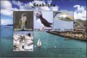 Seabirds