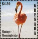 Flamingo phoenicopteridae