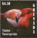 Flamingo phoenicopteridae