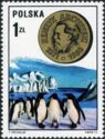 Henryk Arctowski, Adelie Penguins (Pygoscelis adeliae)