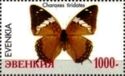 Charaxes tiridates