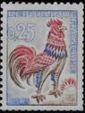 Gallic Cock (Gallus gallus domesticus)