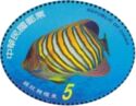 Royal empress angelfish