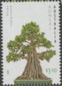 Ficus rubiginosa