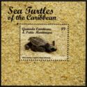 Sea Turtles (Lepidochelys olivacea)