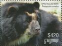 Spectacled Bear (Head)