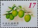 Chinese Date (Ziziphus jujuba)