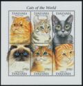 Cats from around the World