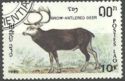 Brow-antlered Deer (Rucervus eldii)