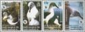 Grey-headed albatross: se-tenant strip