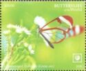 Glasswinged Butterfly (Greta oto)