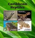 Carribean Reptiles