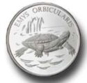 10,000,000 Lira (European pond turtle - Benekli kaplumbağa - Emys orbicularis)