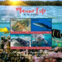 Marine Life of the Caribbean